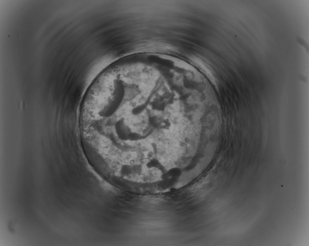 X0000091911103200710031014