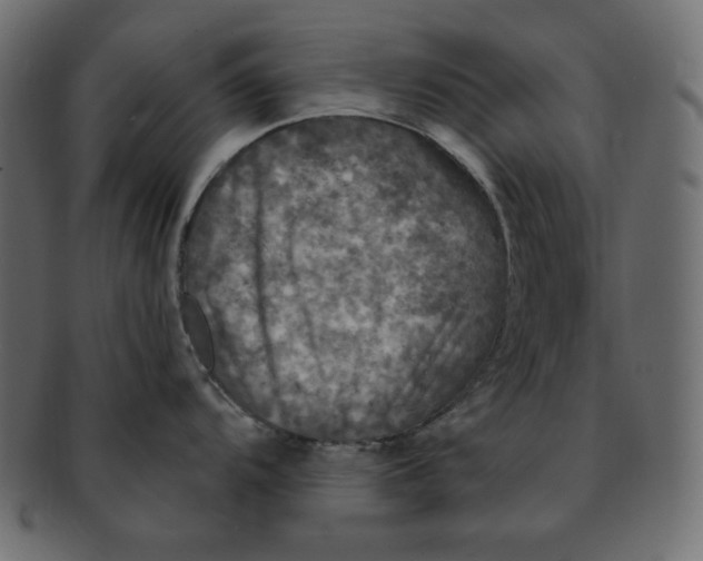 X0000091911104200710031014