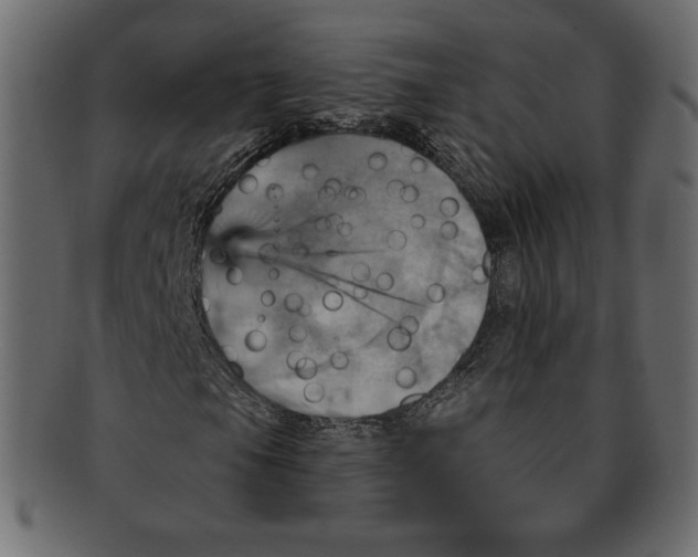 X0000091911105200710031014