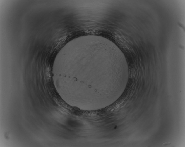 X0000091911106200710031014