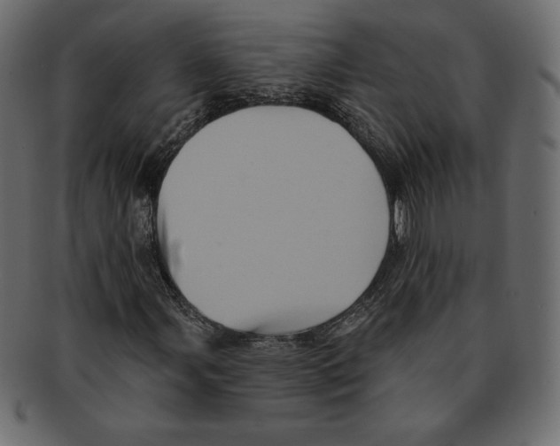 X0000091911107200710031014