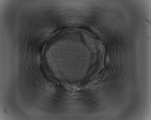 X0000091911108200710031014