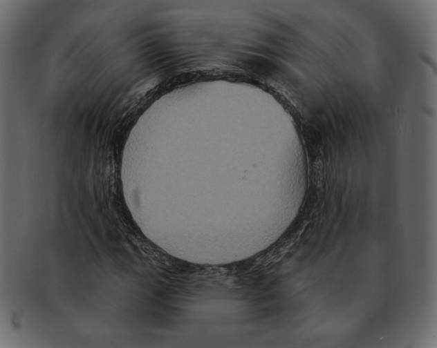 X0000091911111200710031014