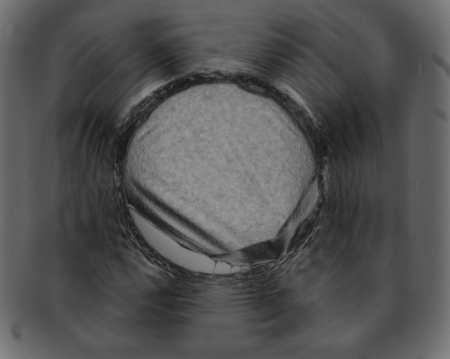 X0000091911112200710031014