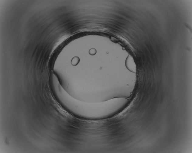 X0000091911114200710031014