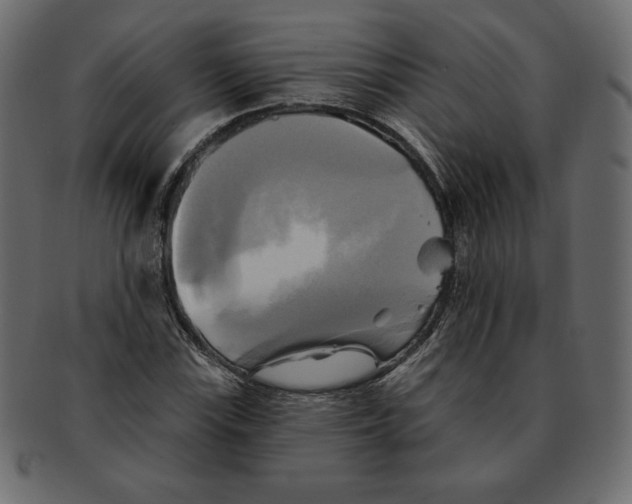 X0000091911115200710031014