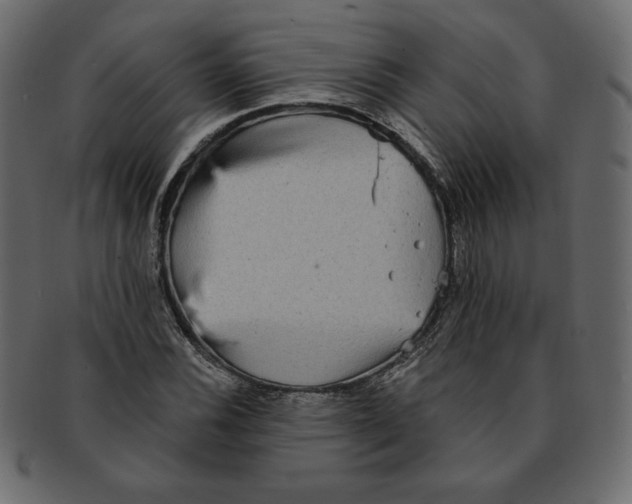 X0000091911116200710031014