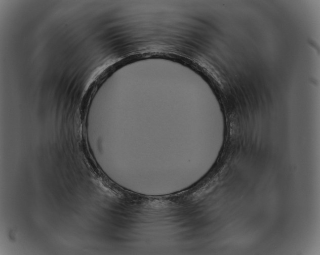 X0000091911117200710031014