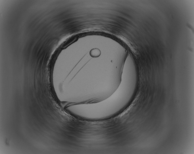 X0000091911118200710031014