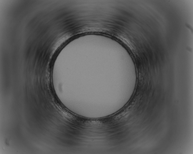 X0000091911119200710031014