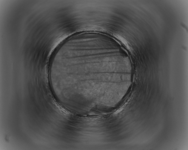 X0000091911120200710031014