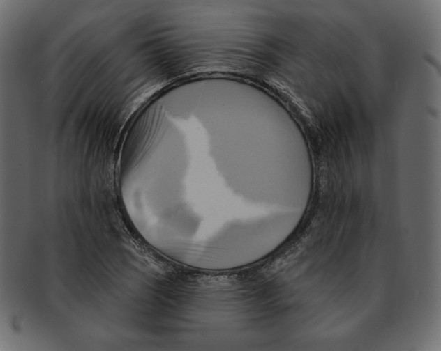 X0000091911121200710031014