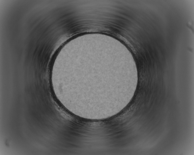 X0000091911122200710031014