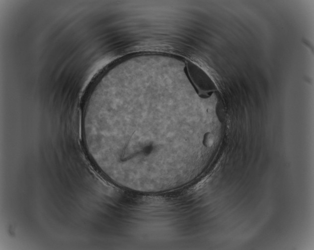 X0000091911123200710031014