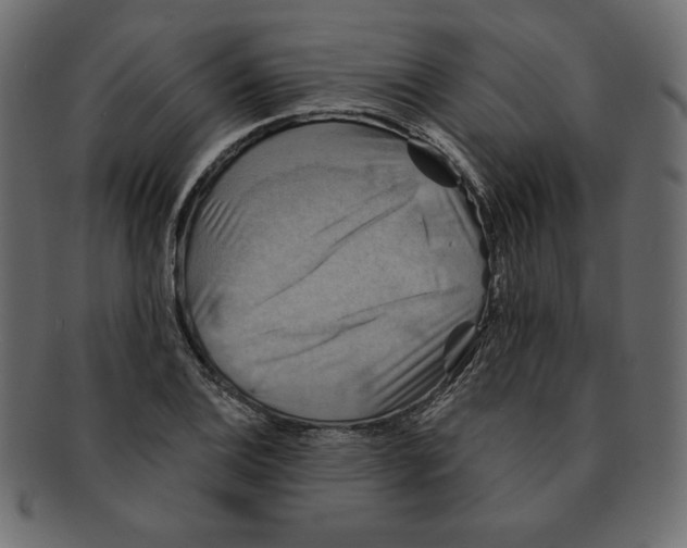 X0000091911124200710031014