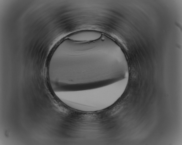 X0000091911125200710031014