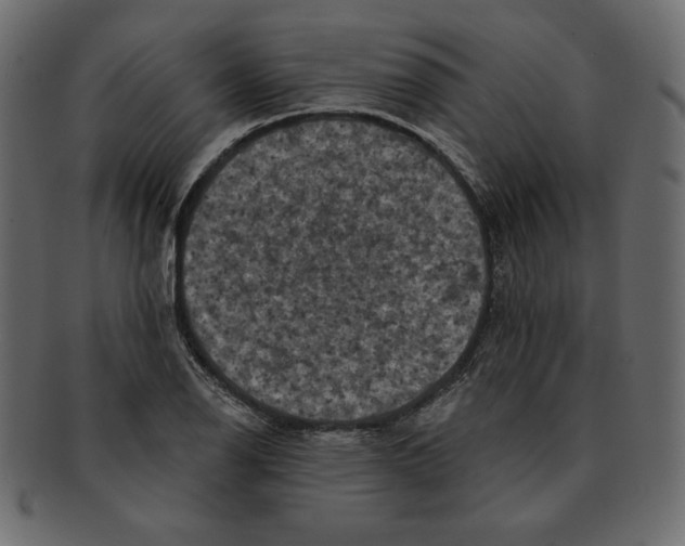 X0000091911126200710031014