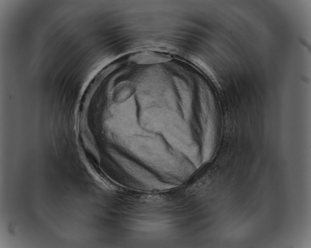 X0000091911128200710031014