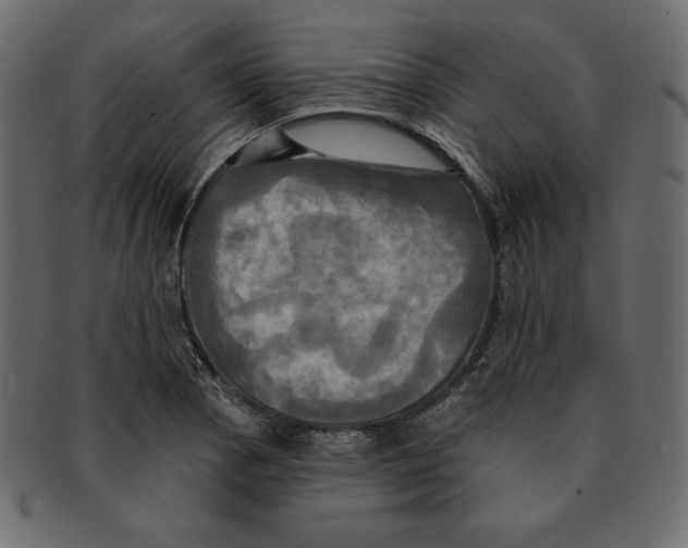 X0000091911129200710031014