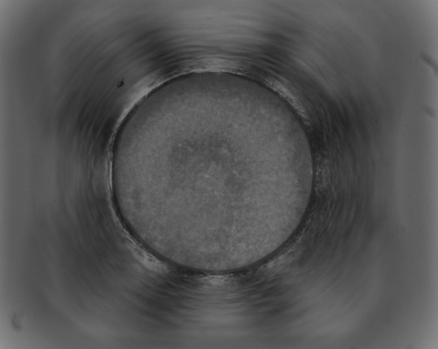 X0000091911130200710031014