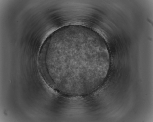 X0000091911133200710031014