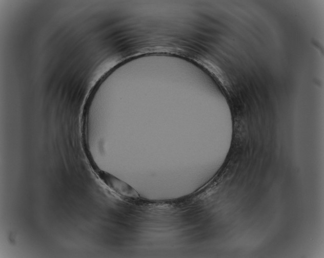 X0000091911135200710031014