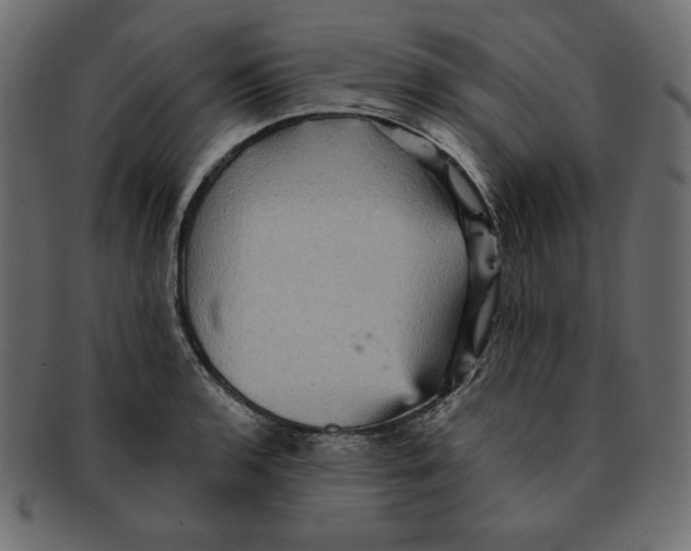 X0000091911136200710031014