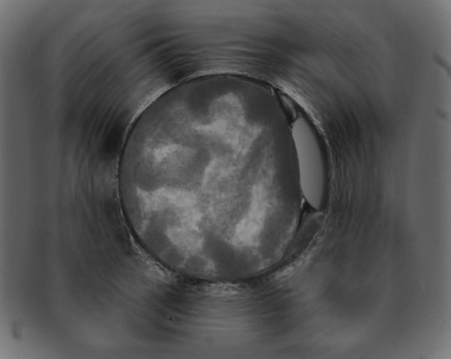 X0000091911137200710031014