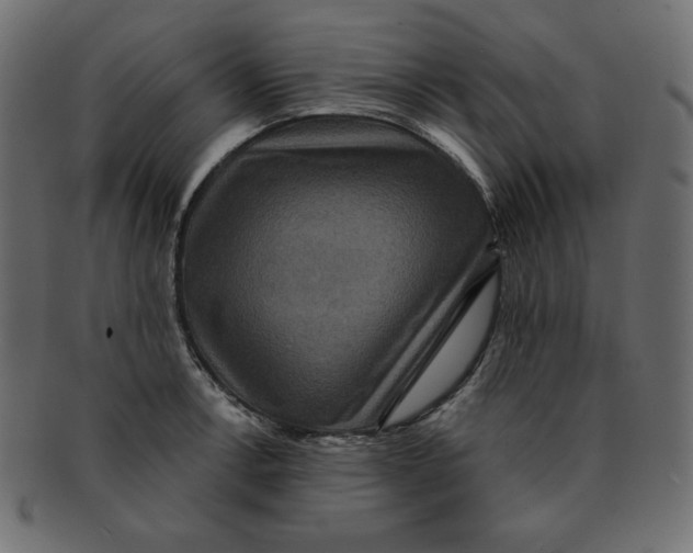 X0000091911138200710031014