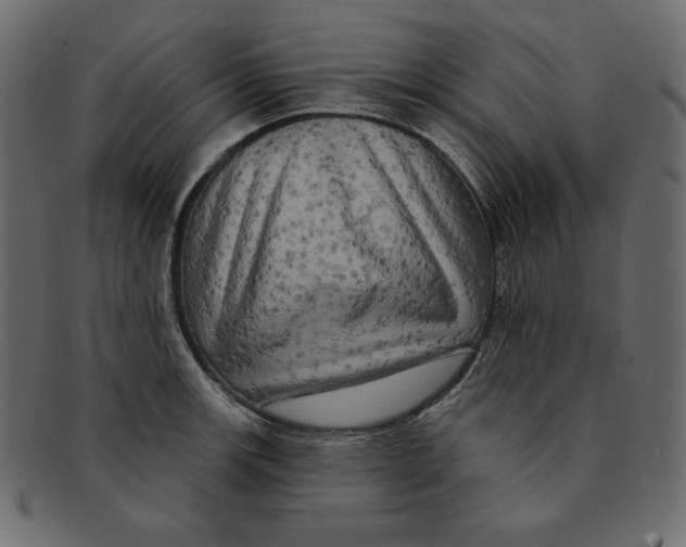 X0000091911139200710031014