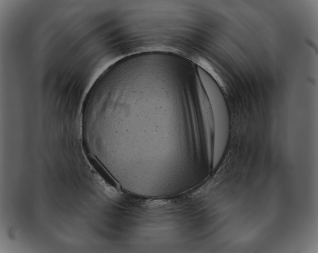 X0000091911140200710031014