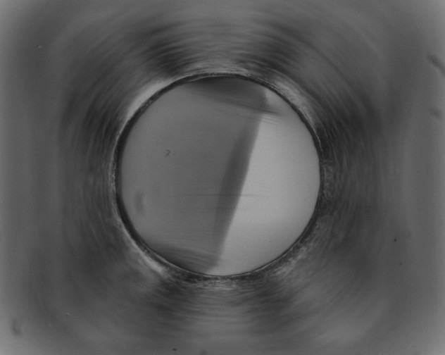 X0000091911141200710031014