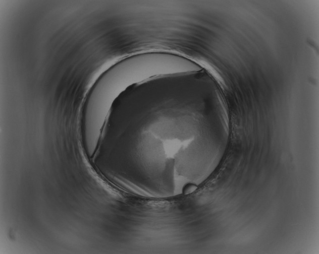 X0000091911142200710031014