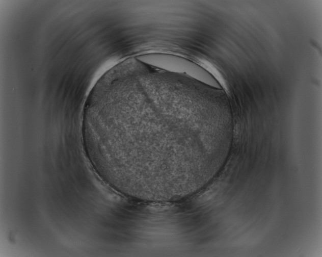 X0000091911146200710031014