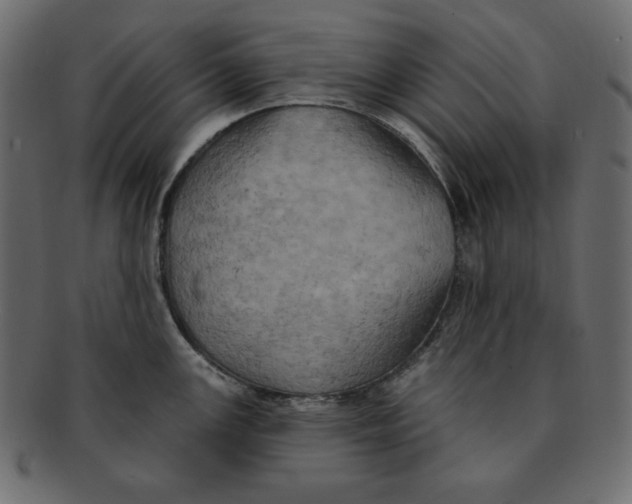 X0000091911147200710031014