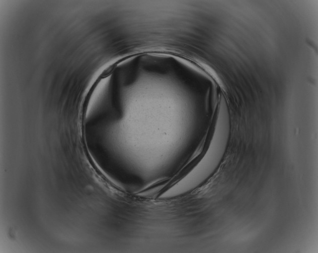 X0000091911148200710031014