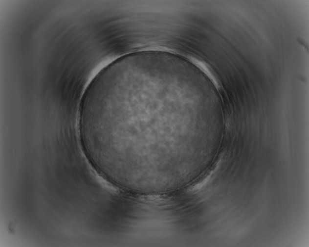 X0000091911149200710031014