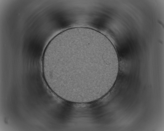 X0000091911150200710031014