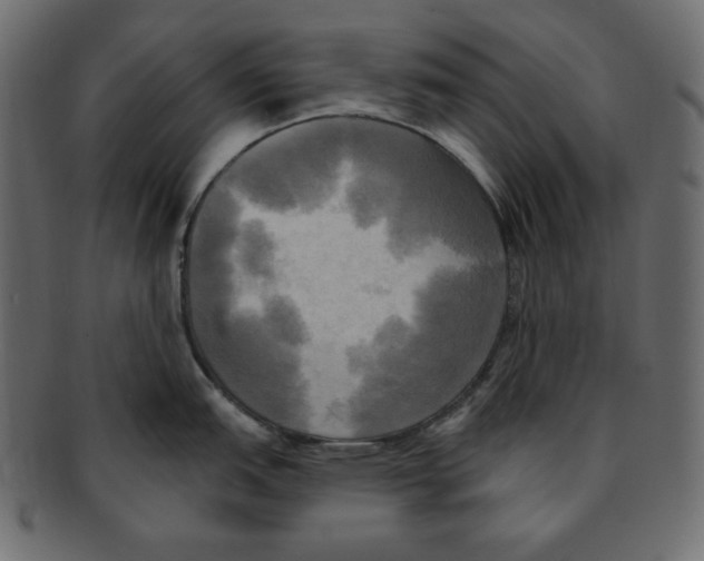 X0000091911151200710031014