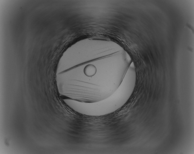 X0000091911153200710031014