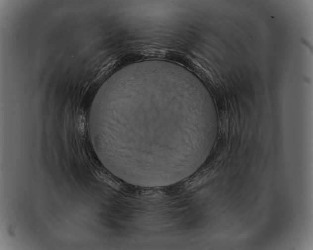 X0000091911154200710031014