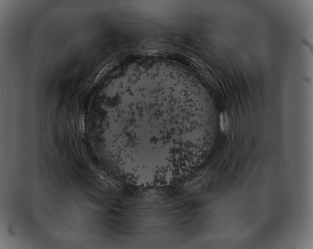 X0000091911155200710031013