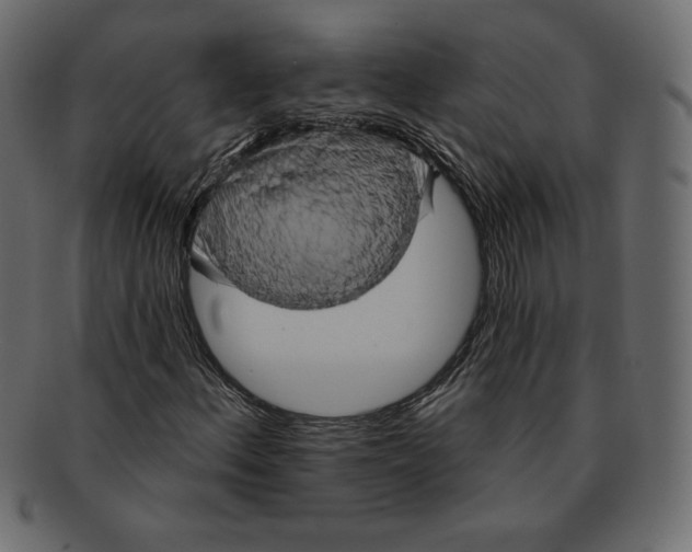 X0000091911156200710031013