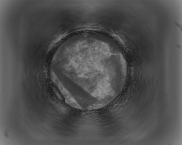 X0000091911159200710031013