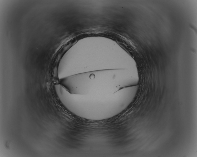 X0000091911160200710031013