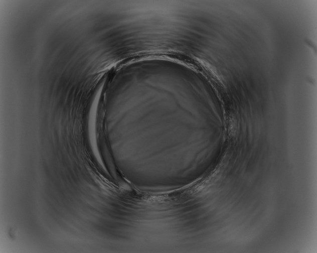 X0000091911161200710031013