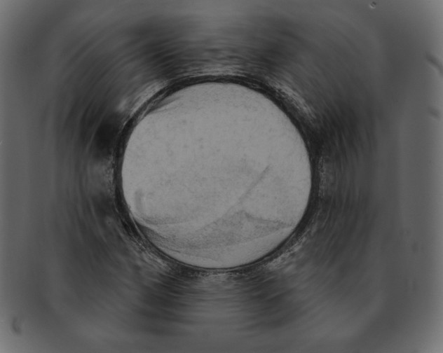 X0000091911162200710031013