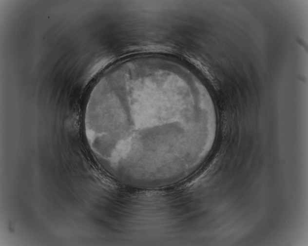 X0000091911163200710031013