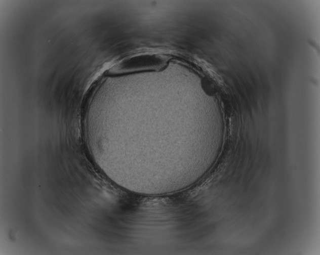 X0000091911165200710031013