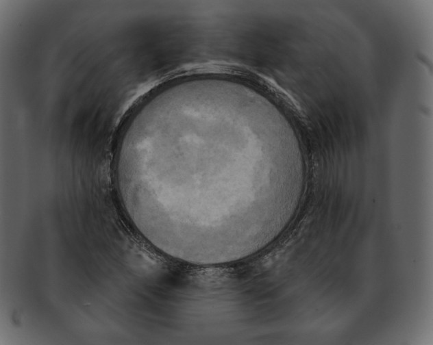 X0000091911166200710031013